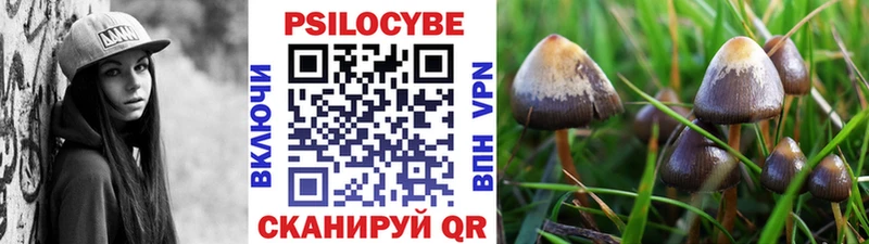 Псилоцибиновые грибы Magic Shrooms  Купить  Мышкин 
