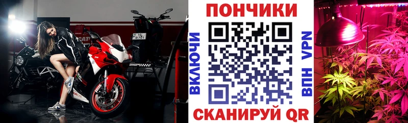 Бошки Шишки THC 21%  Купить  Мышкин 